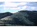 Hissadah looking north. This hill has terraces which are centuries old. There is also some modern tree planting which is changing the environment back to the state it was in Bible times.